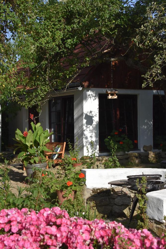 Ubytovani Pod Jilmem Zar Buitenkant foto