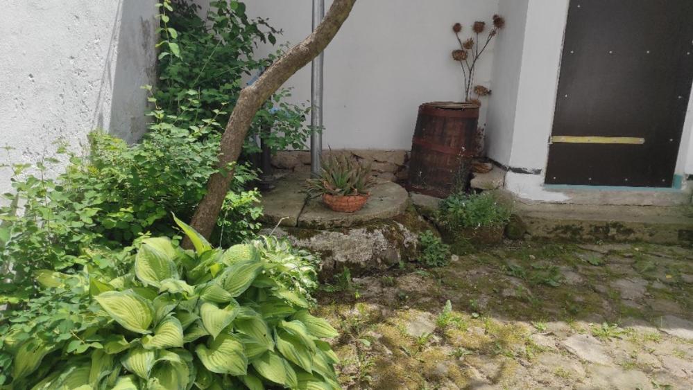 Ubytovani Pod Jilmem Zar Buitenkant foto