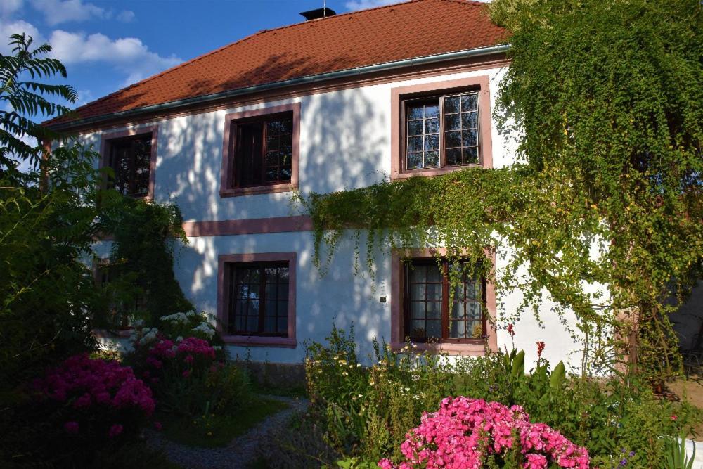 Ubytovani Pod Jilmem Zar Buitenkant foto